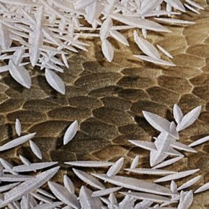 Итальянский столик Mopipi 3