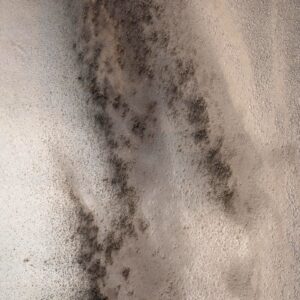 Итальянский бар Turano от Arte Veneziana