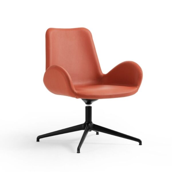 Итальянское кресло Dalia от MIDJ