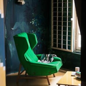 Итальянское кресло Giulia 4