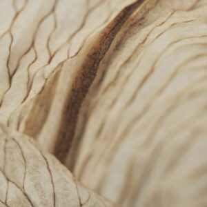 Итальянский диван Amsterdam от FERRI 1956