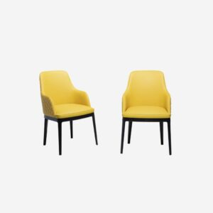 Итальянский стул Cleo Élite 3