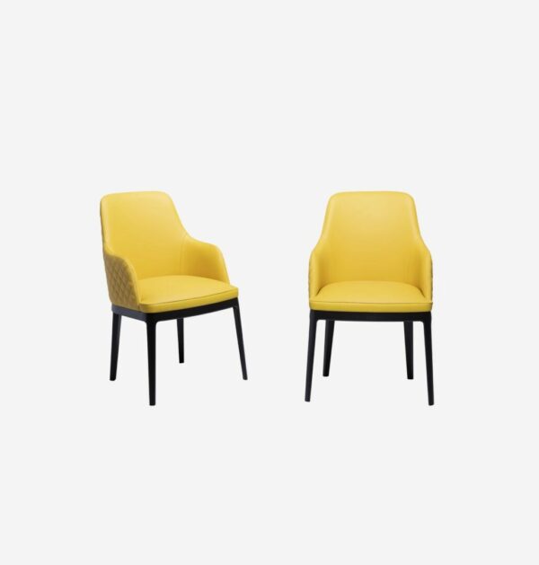 Итальянский стул Cleo Élite 3