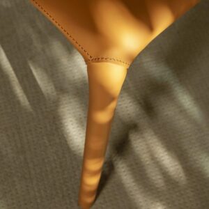 Итальянский стул Lisa Cuoio от Tonin Casa