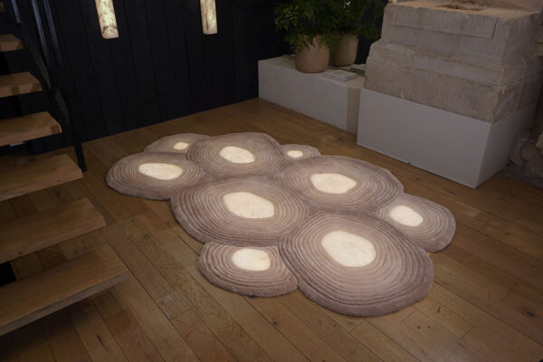 Дизайнерский ковер .echo 2