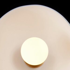 Дизайнерский потолочный светильник TRAPEZE : 1 SURFACE от APPARATUS (США)