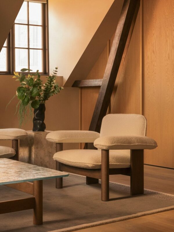 Итальянское кресло Brasilia 5