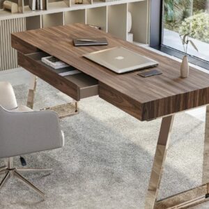 Дизайнерский письменный стол Secretary Vollmer 3