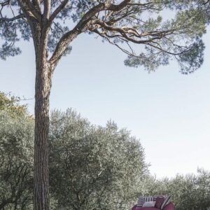 Итальянский диван GLOBSTER 2